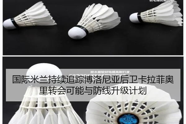 国际米兰持续追踪博洛尼亚后卫卡拉菲奥里转会可能与防线升级计划